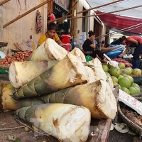 Măng tươi, sản phẩm từ thiên nhiên